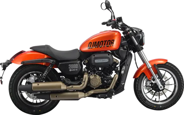 QJ Motor SRV 300 QJ Motor SRV 300