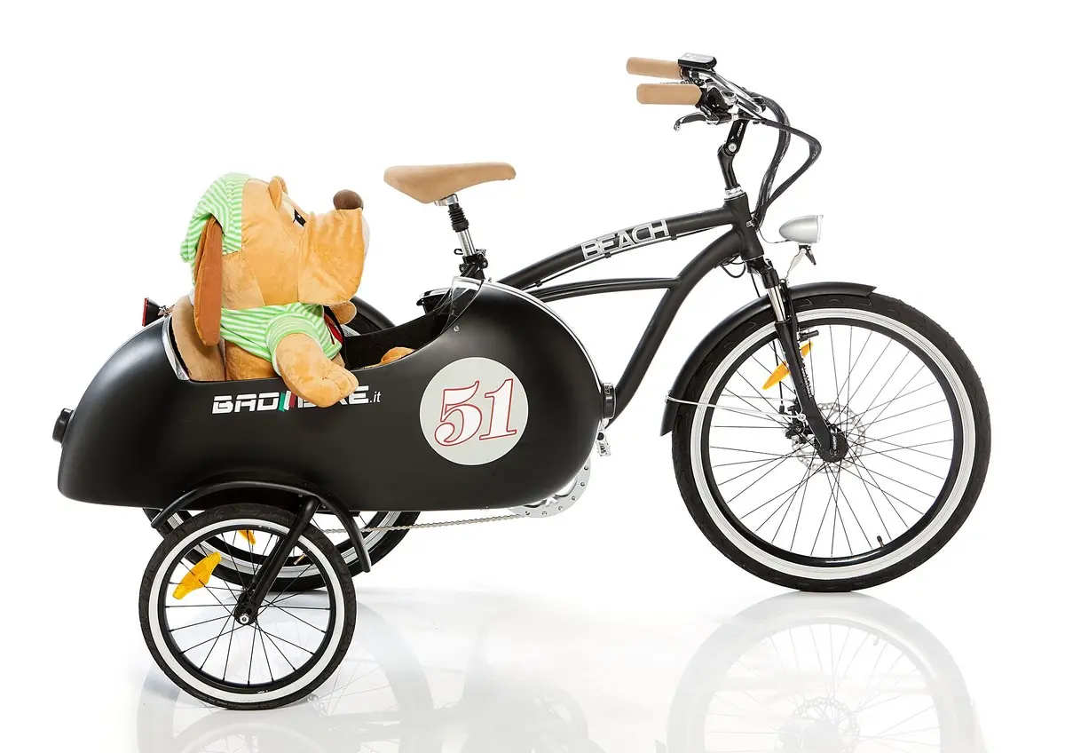 Beach cruiser sidecar top