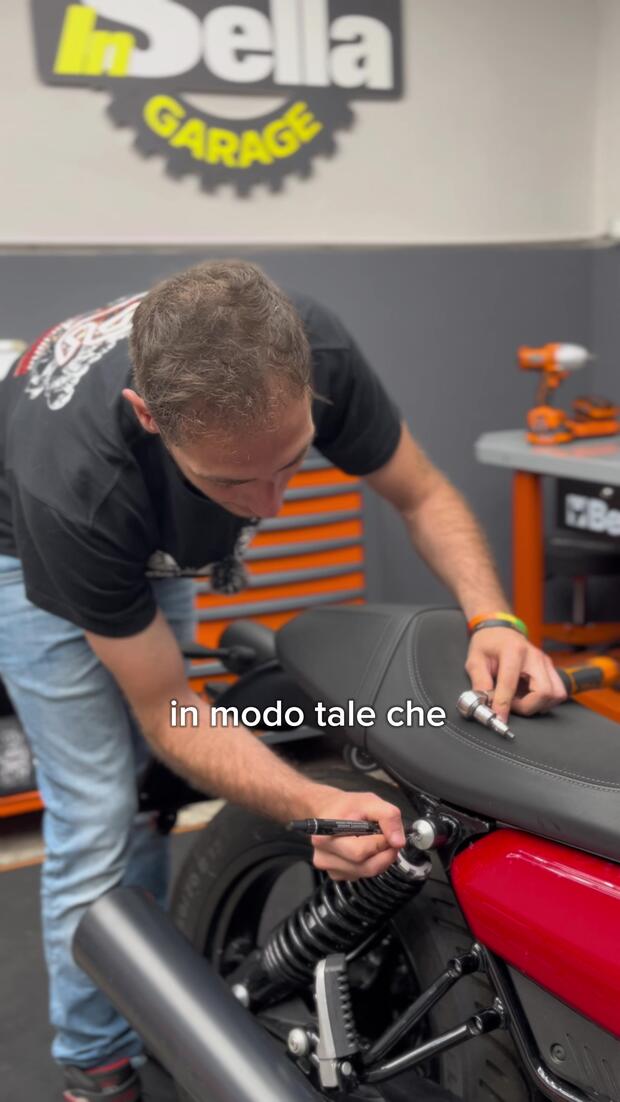 Cosa sono questi “segni” sulle viti? . . .