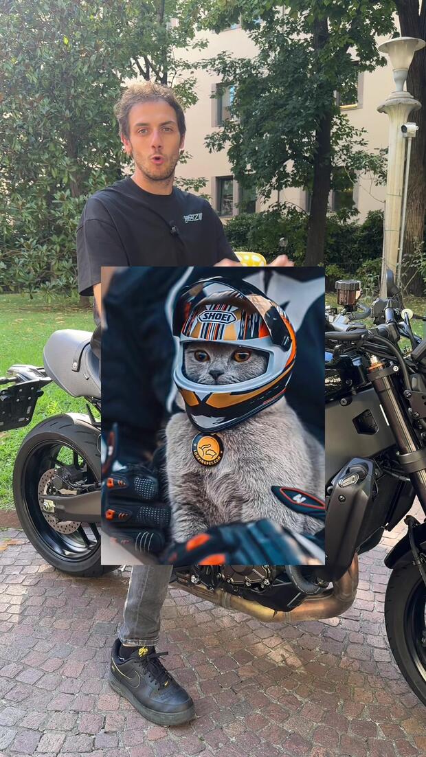 Animali in moto: ma si può fare?  . . .