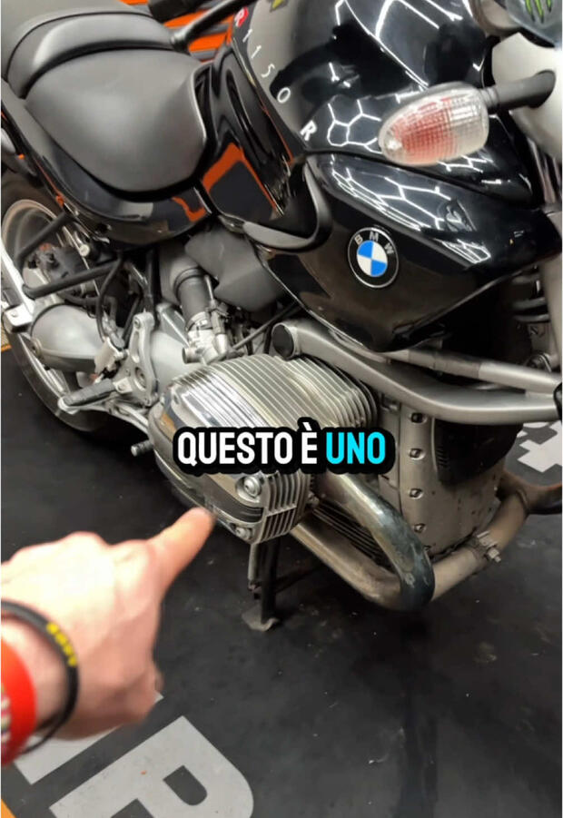 Boxer, che passione! . . .