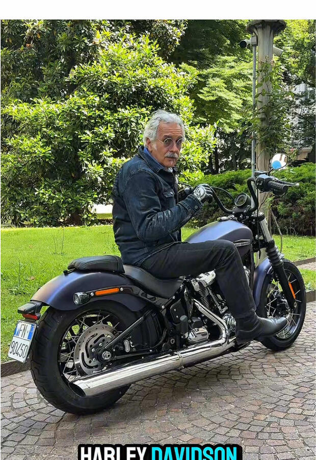 Harley-Davidson Street Bob 117 . . .