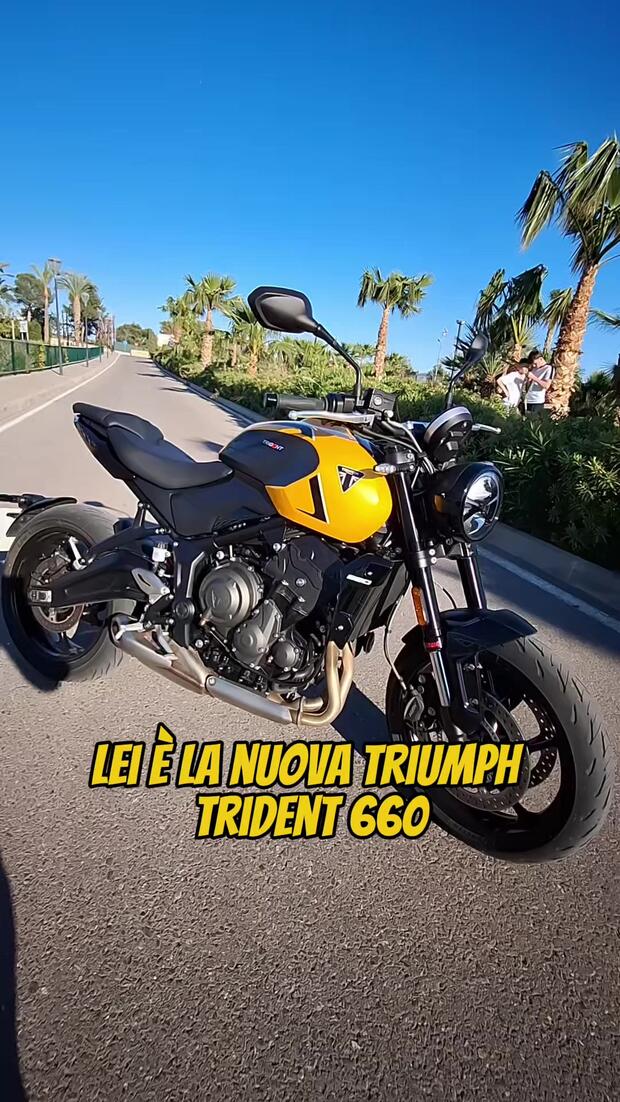 Nuova Triumph Trident 660! . . .