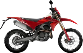 Desmo 450