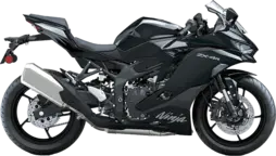 Ninja ZX-4R