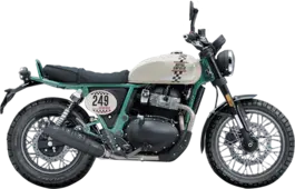 Royal Enfield Bear