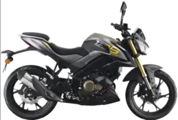 QJ Motor SRK
