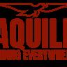 Profile picture for user aquileingironet